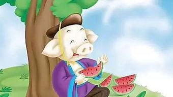 乙游吃瓜故事,揭秘虚拟世界中的真实故事