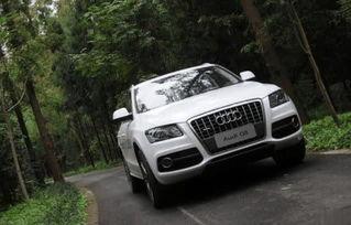 吃瓜奥迪视频大全