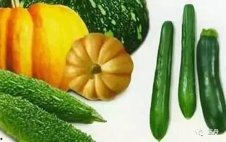 言语理解吃瓜,揭秘网络言语背后的文化现象